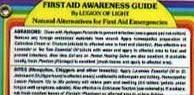 Discover the First Aid Awareness Guide by Legion Of Light