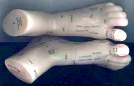 Amazing Foot Reflexology Model - A Pair of Feet for Ultimate Relaxation