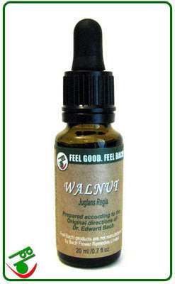 Bach Walnut Flower Remedy: Your Key to Smooth Transitions