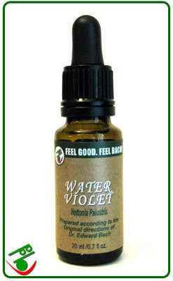 Enchanting Water Violet Bach Flower Remedy by Bach