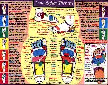 Amazing Zone Reflexology Hand & Foot Chart - Unlock Wellness Now!