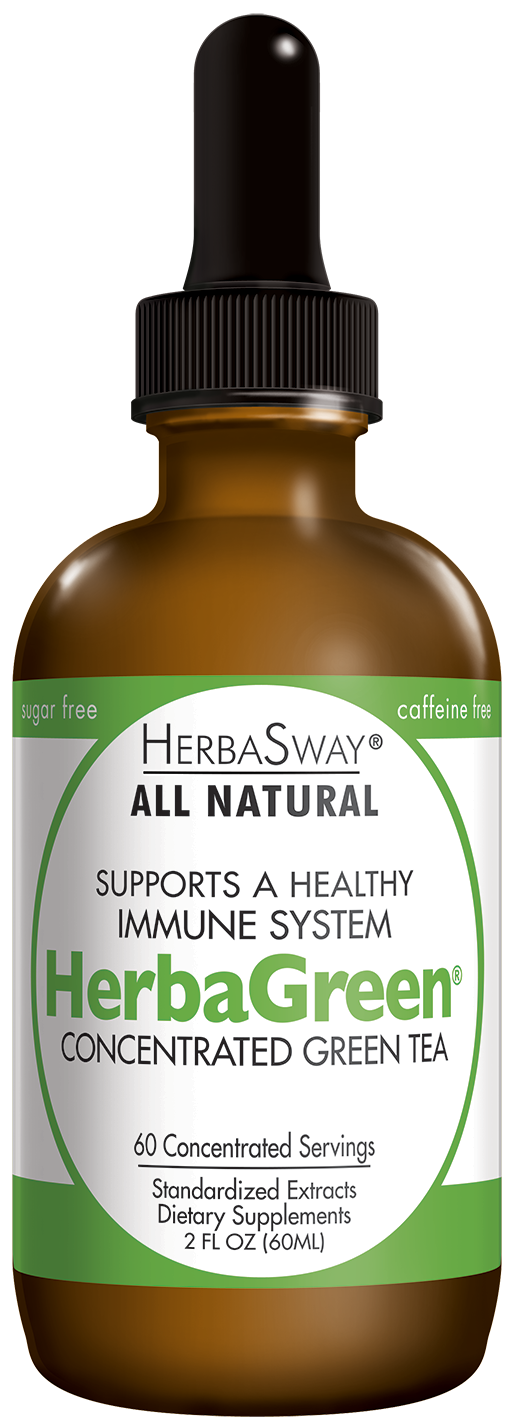 HerbaGreen 2oz - The Unbeatable Original Concentrated Green Tea - HerbaSway