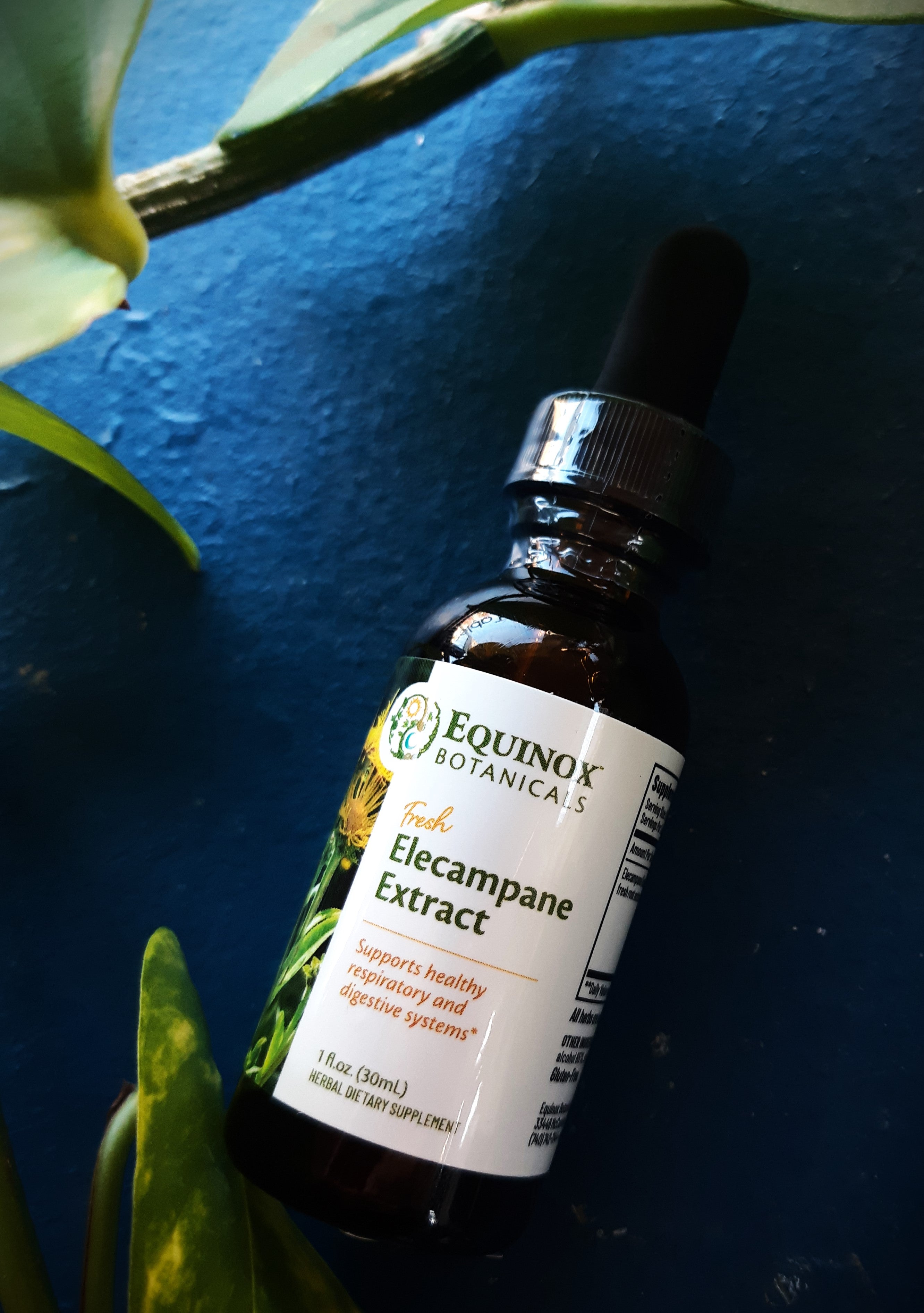 Equinox Botanicals - 1oz Fresh Elecampane Root Extract: A Natural Wellness Elixir