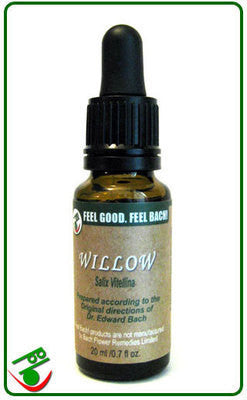 Willow Bach Flower Remedy - Transform Your Mood!