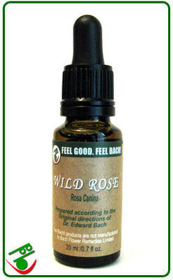 Enchanting Wild Rose Bach Flower Remedy