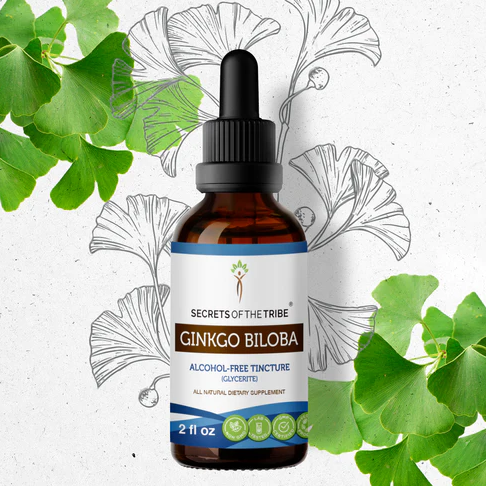 Secrets of the Tribe: 2oz Alcohol-Free Organic Ginkgo Biloba Herbal Extract