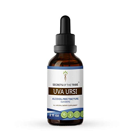 Discover the Magic! 2oz Alcohol-Free Uva Ursi Herbal Extract - Trobe's Hidden Secret