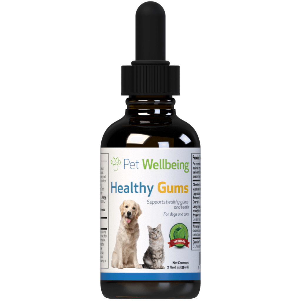 Healthy Gums Canine Oral Health Support - 2 oz by Pet Wellbeing